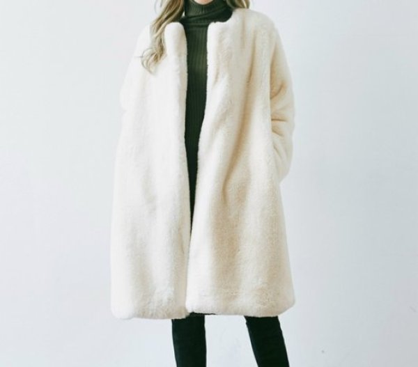 画像1: women's fake long paragraph wild plush coat フェイクファーシンプルノーカラーモコモコロング コート　 (1)