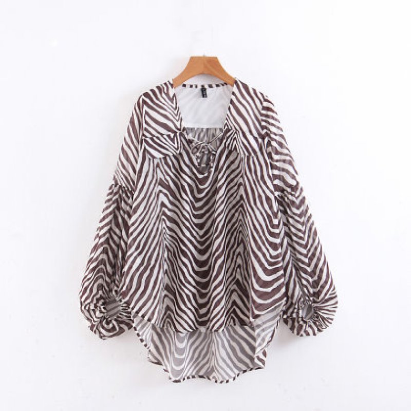 画像2: women's Zebra-spun long-sleeved V-neck chiffon shirt blouse ゼブラシフォンVネックブラウス プルオーバー (2)