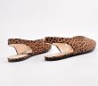 画像4: women's flat pointed leopard print Baotou casual suede single shoes  low heel pumps  sandals shoes 　バックストラップレオパードスエードフラットパンプス　サンダル (4)