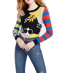 画像1: women's Characters Avatar Pattern Striped Long SleeveSweater knit 　キャラクター編み込み＆刺繍ニットセータ　プルオーバ (1)