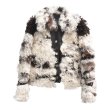 画像11: Women's imported Tigado wool fur leather lamb short coat ラムモコモコファーショートコート　ジャケット　 (11)