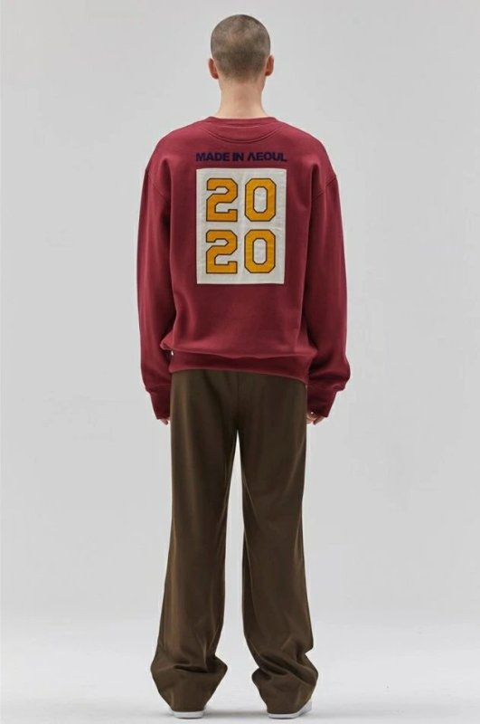 画像3: unisex Back 2020 patch  round neck plus velvet sweatshirt 男女兼用 ユニセックスバック2020パッチレターロゴトレーナー (3)