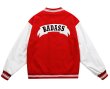 画像3: badass &Dice Embroidery BASEBALL JACKET baseball uniform jacket blouson  ユニセックス 男女兼用badass&Diceサイコロ刺繡スタジアムジャンパー スタジャン MA-1 ボンバー ジャケット ブルゾン (3)