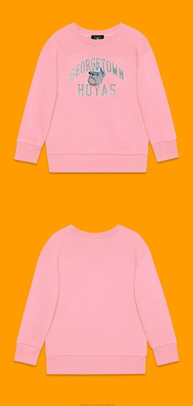 画像9: george town bulldog  round neck Sweatshirt ユニセックス男女兼用georgf townブルドッグスウェット トレーナー (9)