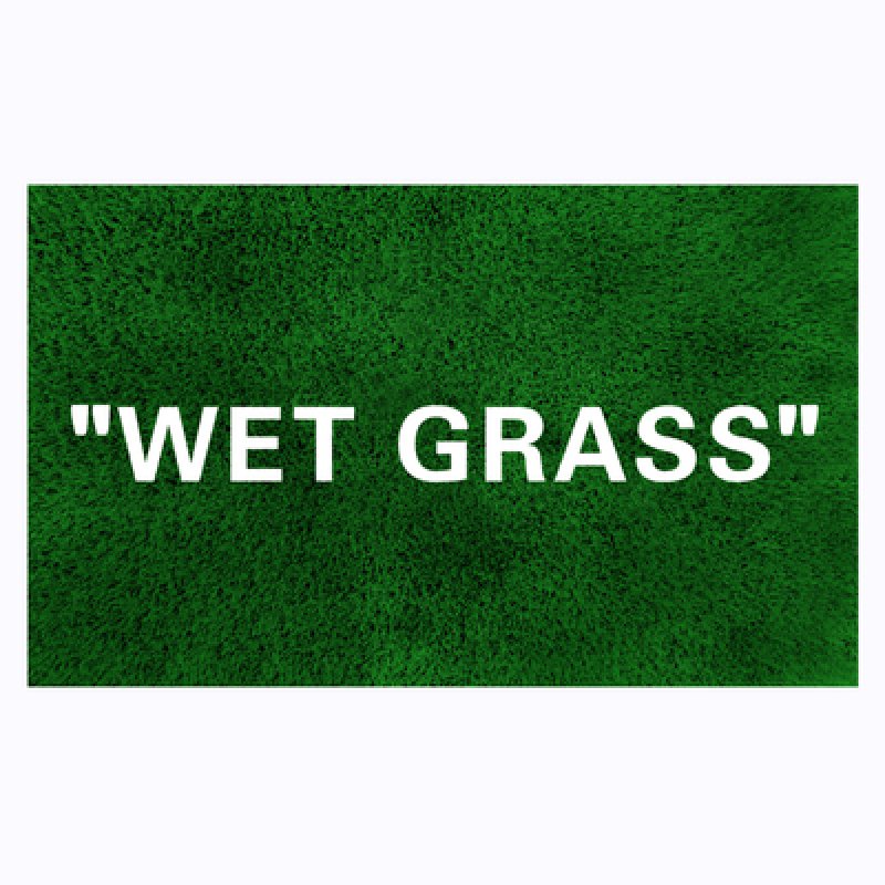 画像4: Wetgrass Logo Rug ウェットグラス  ラグ マット カーペット (4)