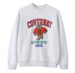 画像1: bulldog dog embroidery PULLOVER SWEATER 　男女兼用ユニセックスブルドッグ 犬刺繍丸首ラウンドネックプルオーバートレーナ (1)