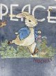 画像3: Peter Rabbit Embroidered Denim G Jean Jacket jumper ユニセックス 男女兼用ピーターラビット刺繍デニムGジャンジャケット ブルゾン スタジャン (3)