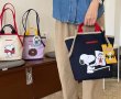 画像10: snoopy canvas tote shoulder bag shopping bag　スヌーピーキャンバストートショルダーバッグピクニックショッピングエコバッグ  (10)