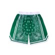 画像3: 23 Paisley bandana pattern Half Pants Colorful Basket Shorts ユニセックス男女兼用 ペイズリーバンダナ柄 カラフル バスケットボール ハーフパンツ ショートパンツ  (3)