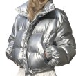 画像2: silver shiny down short jacket coat  ユニセックス男女兼用 シャイニングシルバー ショートダウンジャケット (2)