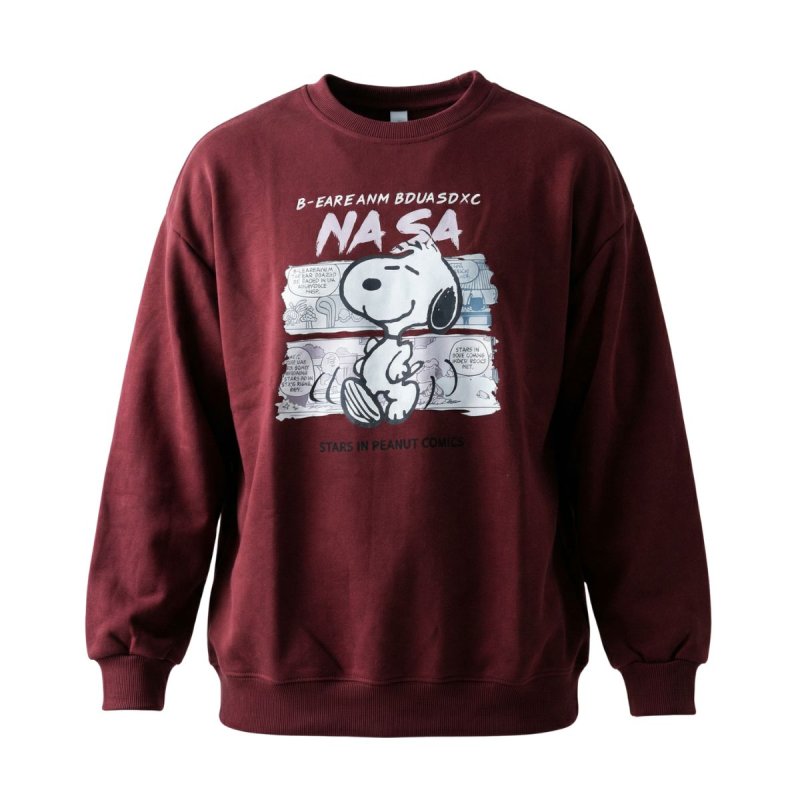 画像1: SALE セール NASA x Snoopy Sweatshirt ユニセックス男女兼用 NASA ナサ × スヌーピー スウェットトレーナー  (1)