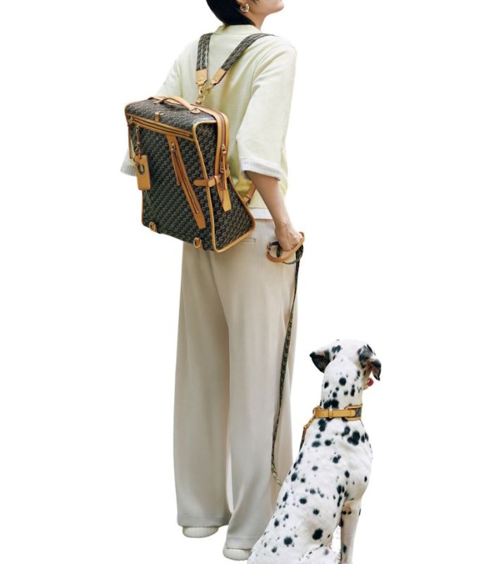 画像7: Unisex Cuisee/Cui Monogram Backpack Tote Shoulder Bag　ユニセックス男女兼用Cuisee/Cuiモノグラムバックパックトートショルダーバッグ (7)