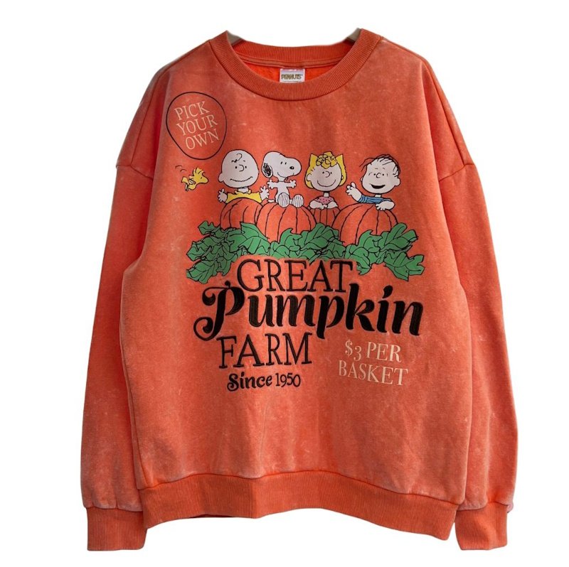 画像1: Unisex Snoopy & Friends Washed Vintage-Style Sweatshirt　男女兼用ユニセックススヌーピー＆フレンズウォッシュドヴィンテージスタイルスウェットトレーナー (1)