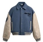 画像4: Baseball & Tiger-Embroidered Stadium Jacket　ユニセックス男女兼用ベースボール＆タイガースタジャンスタジアムジャケット (4)
